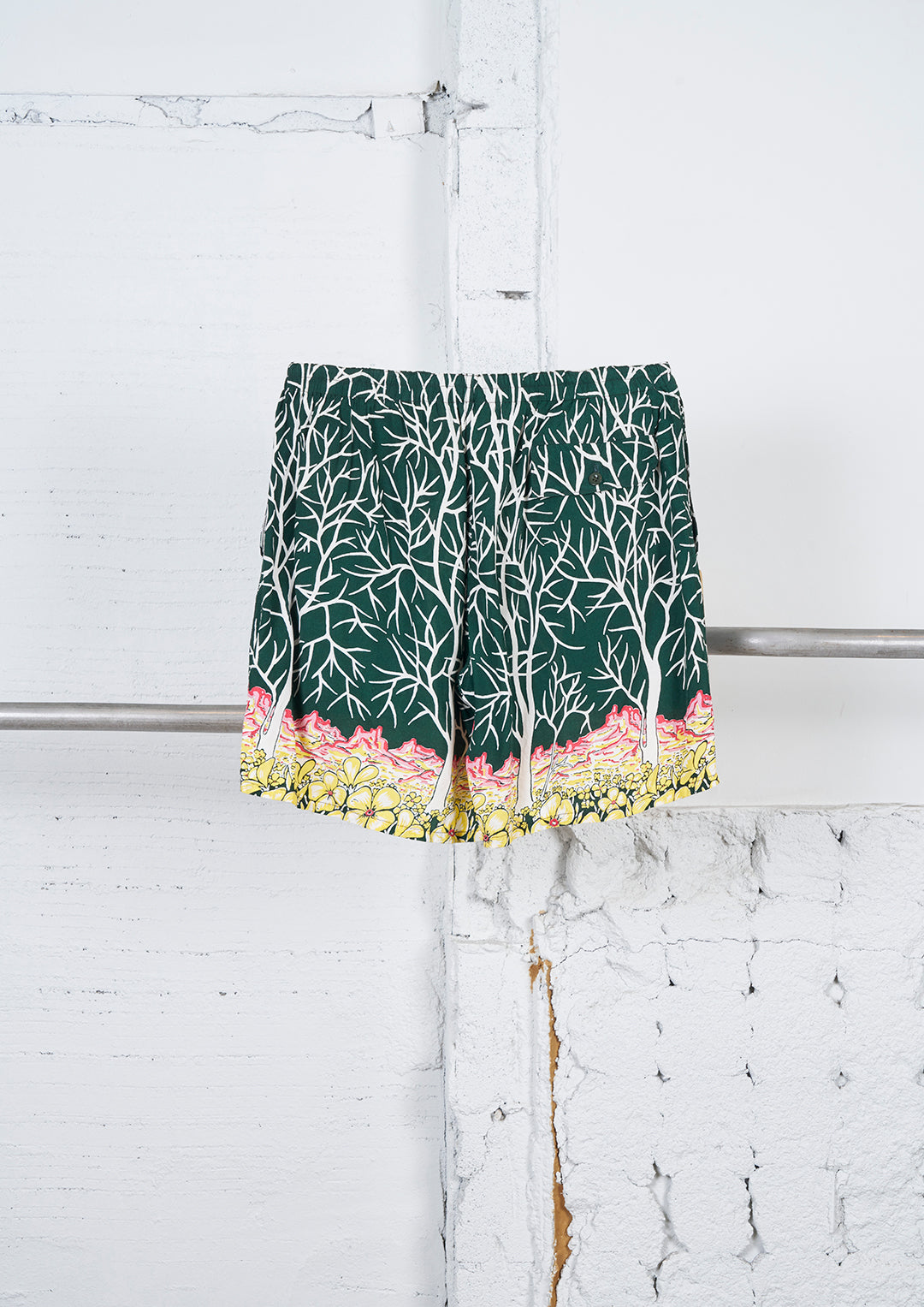 Y's × MASSES_HAWAIIAN PT SHORT PANTS